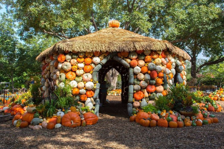 Pumpkin House at the Dallas Arboretum.