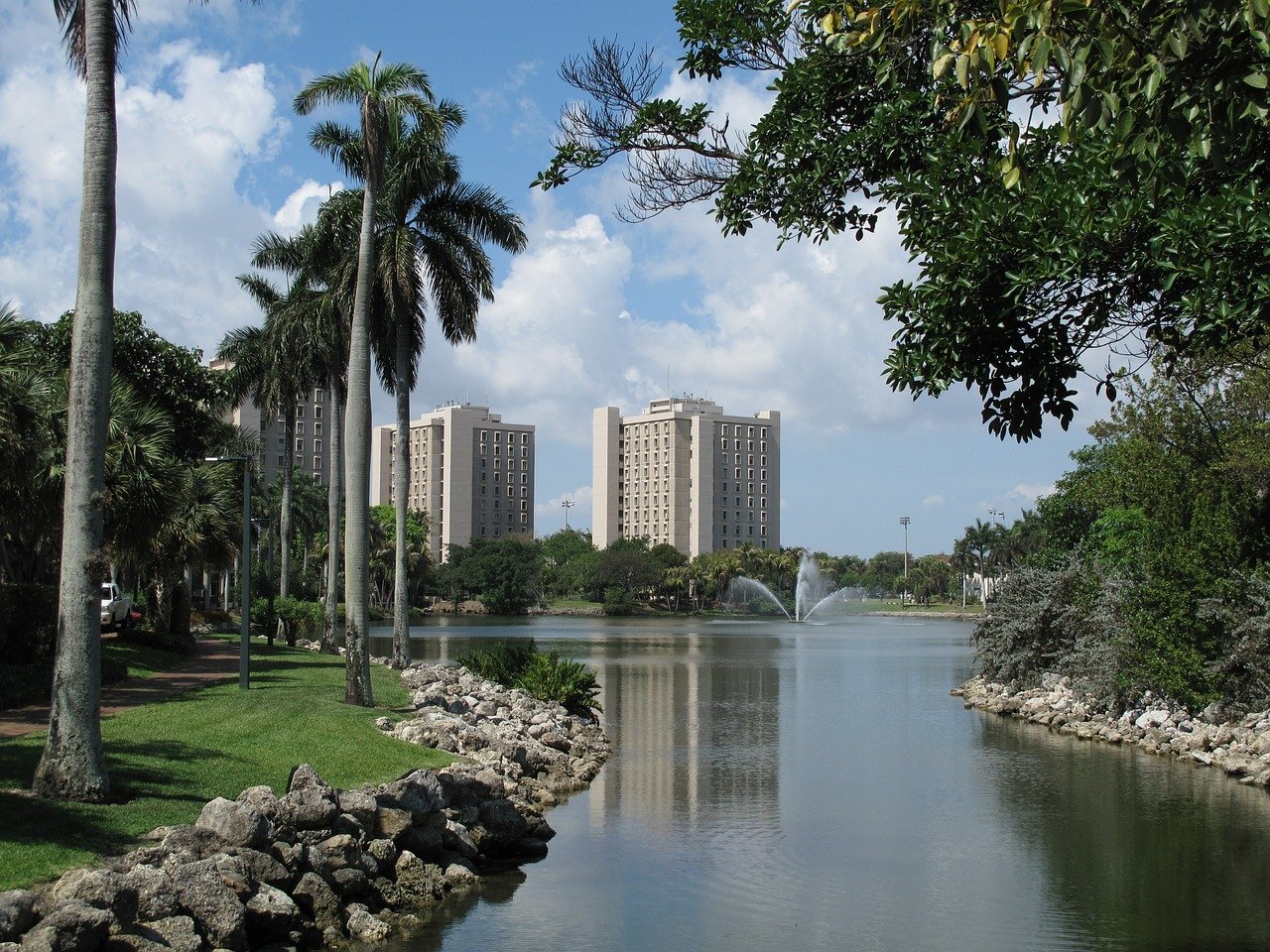 The University of Miami,