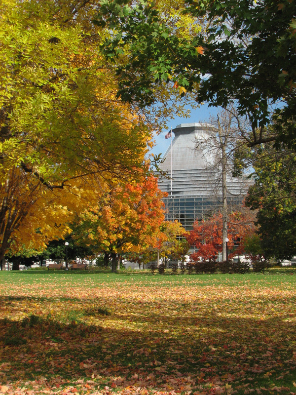 Major's_Hill_Park in  autumn