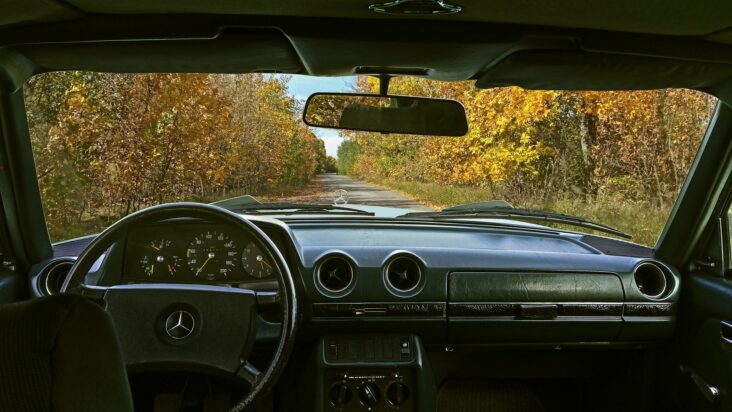 Driving through autumn foliage