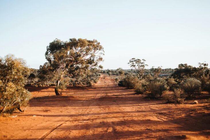 fly to ayers rock